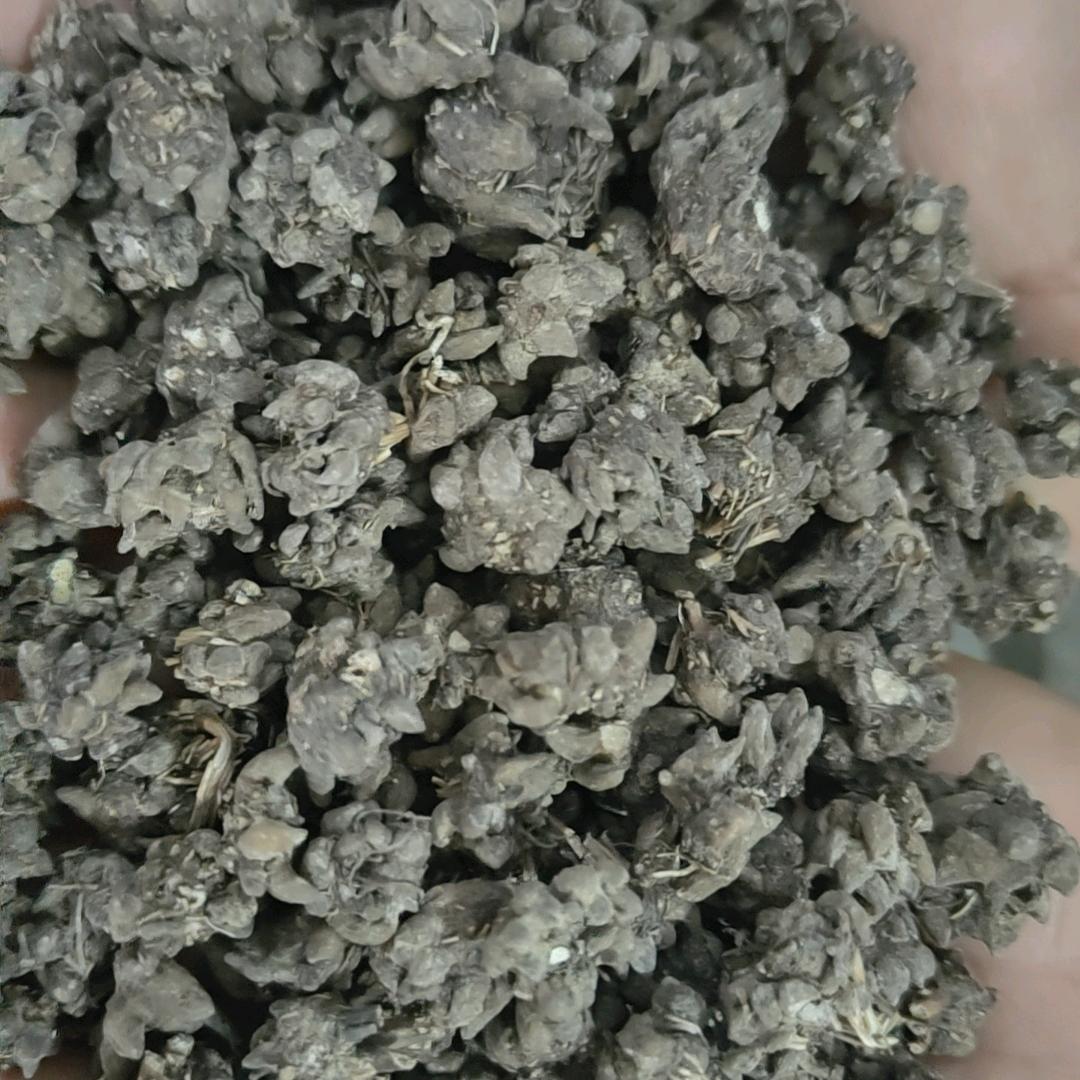 乐顺猫爪草种植合作社