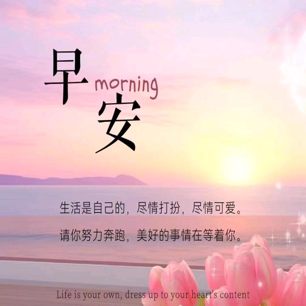 小桃花🎍🎍🌷🌷🌹🌹