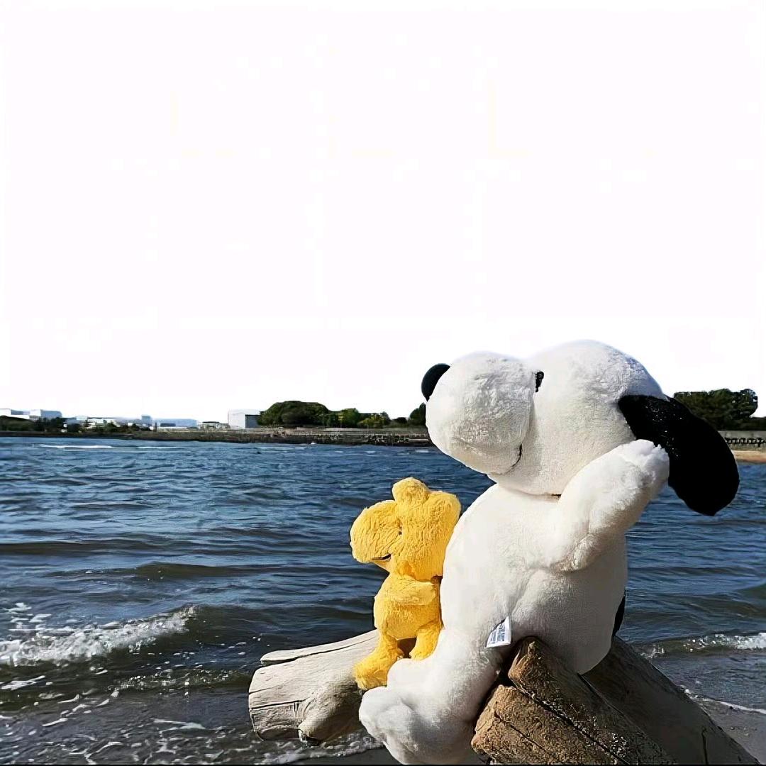 孤岛丶