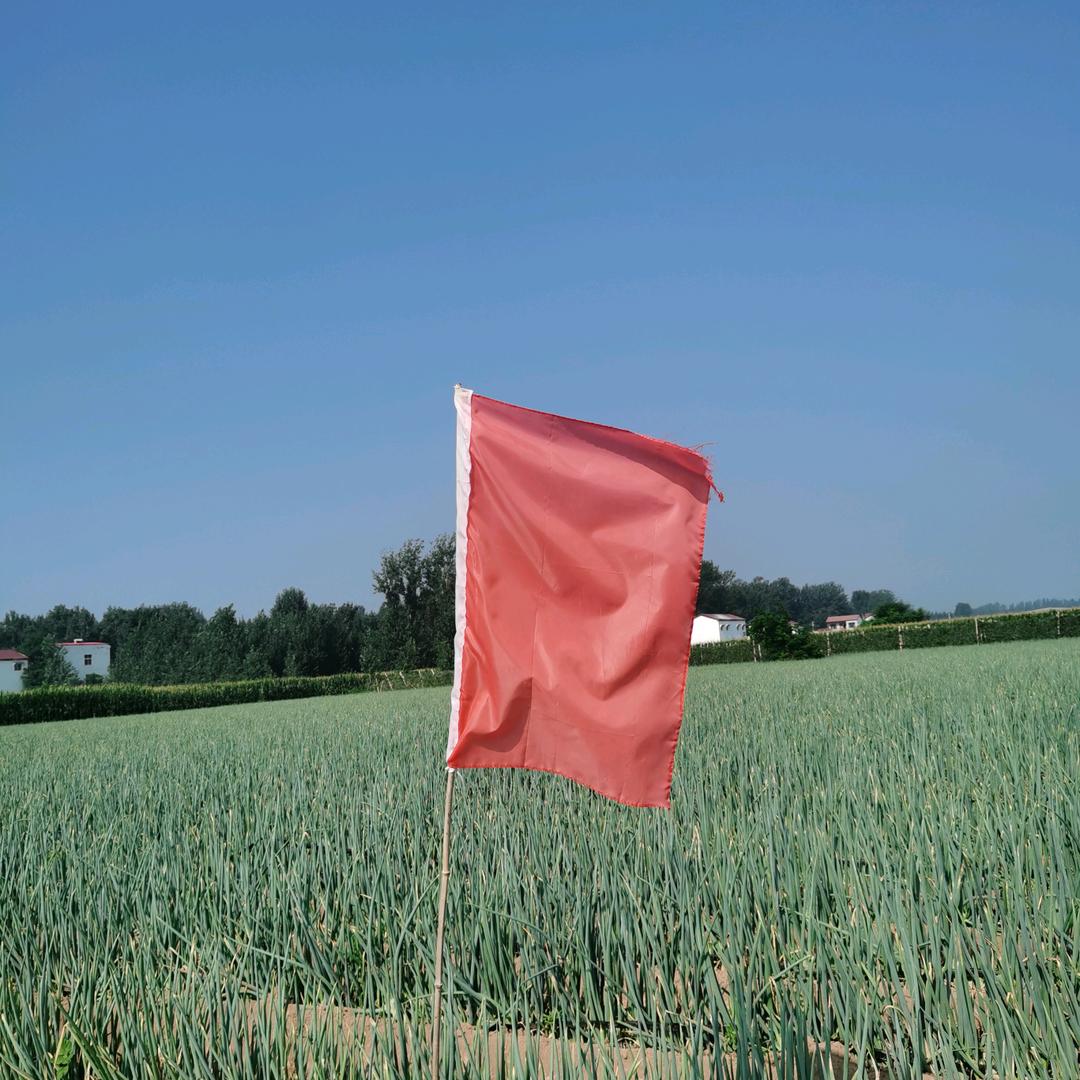 新雨种植农场🇨🇳