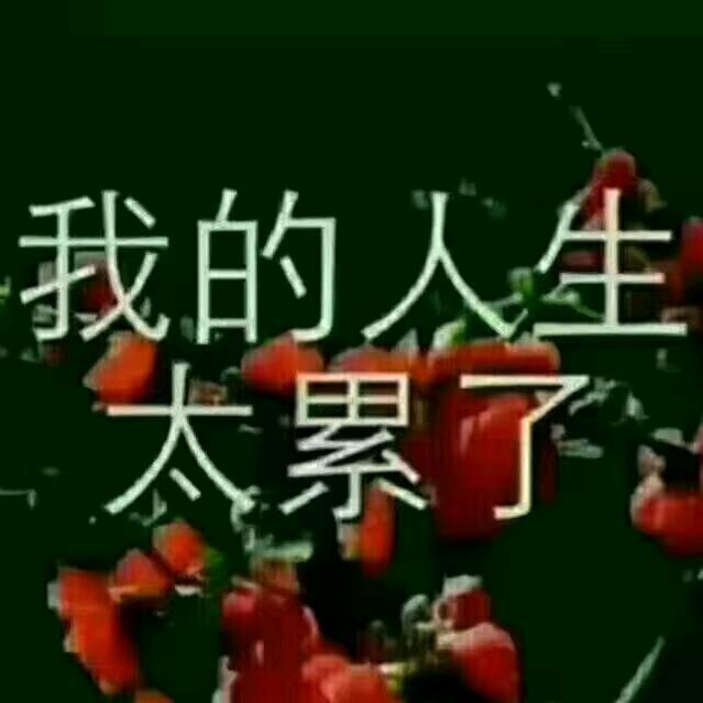 何去何从(^￫ᴥ￩^)[ʕಠɷಠʔ]