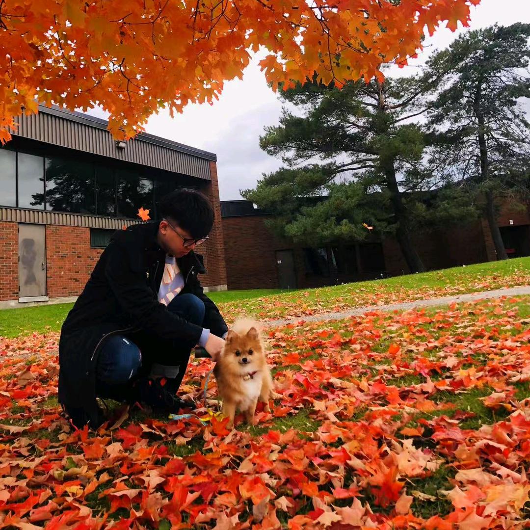 CC老师谈留学