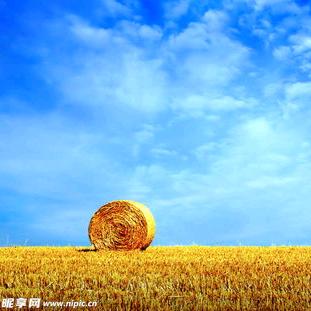 创世澳洲186直通车