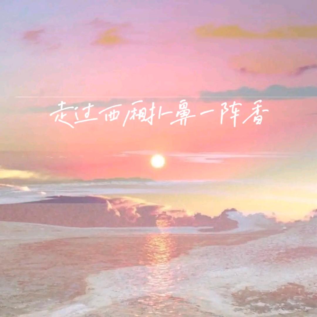 海风吹半夏