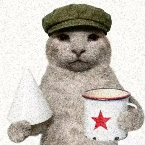 夜晚的乌鸦不会流泪