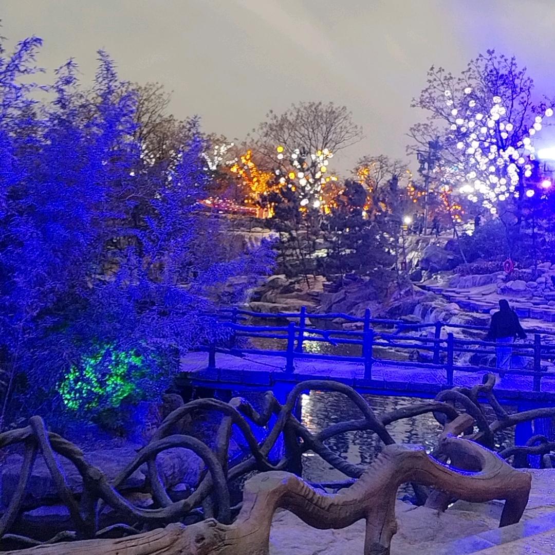 我的洒脱你不懂