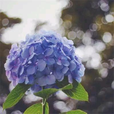 一缕阳光\