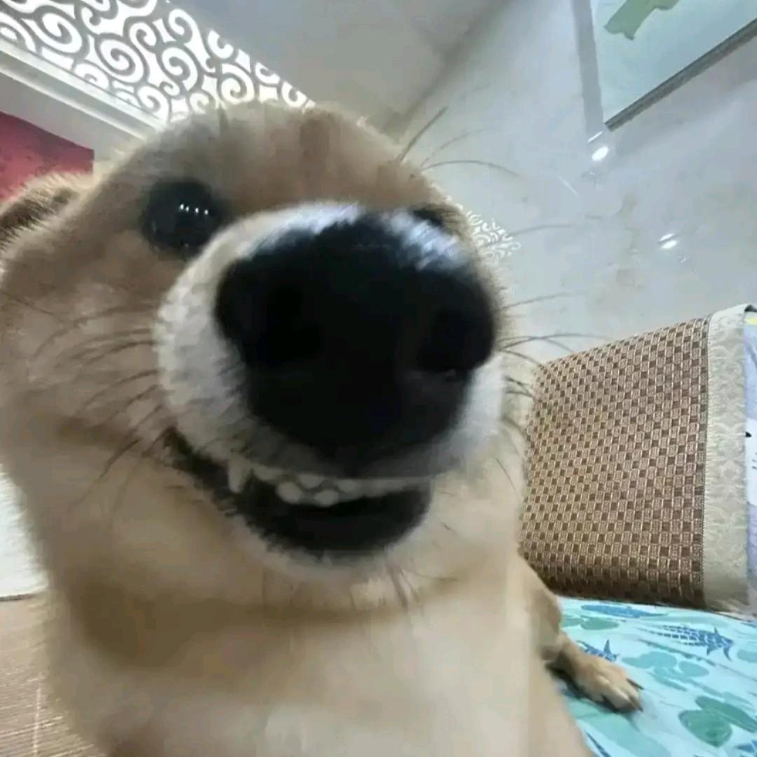 秋枫残烛