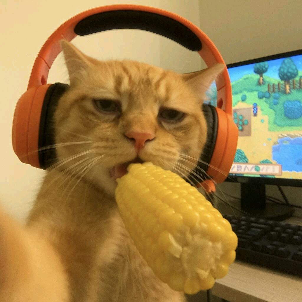 白给小随性（地铁逃生）