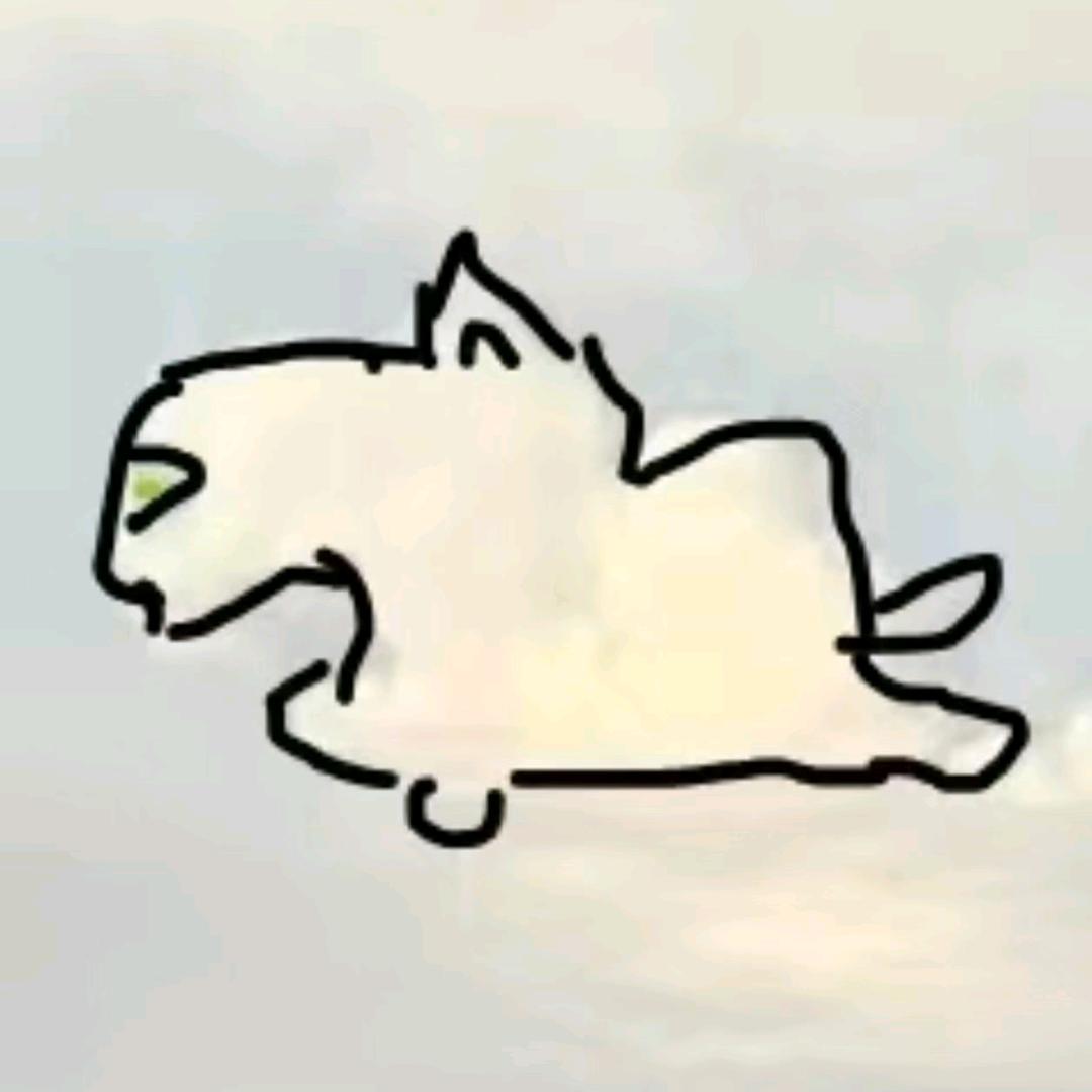 纹银履趣