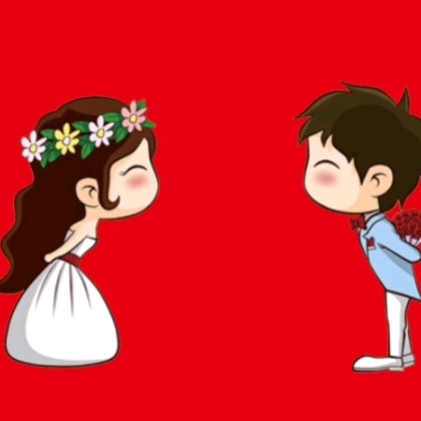 金媒人文化传媒