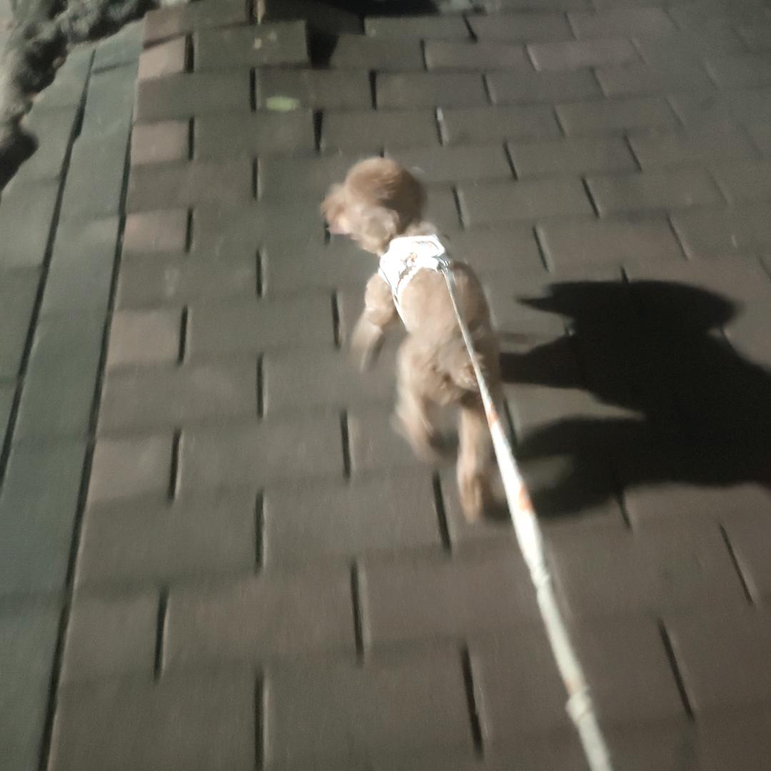 随便点摆摊日记