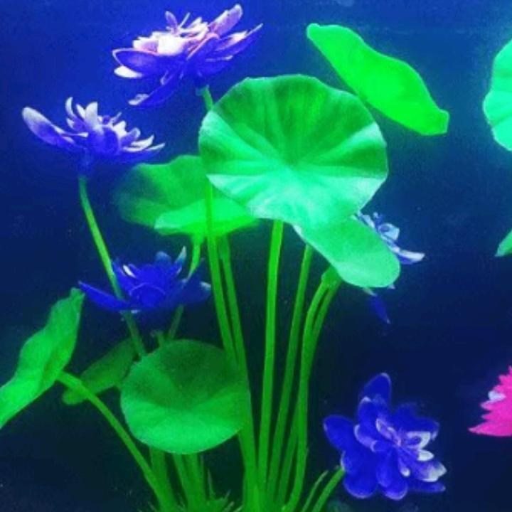 林林林桂芳