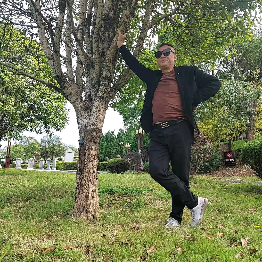 龙芬裝饰