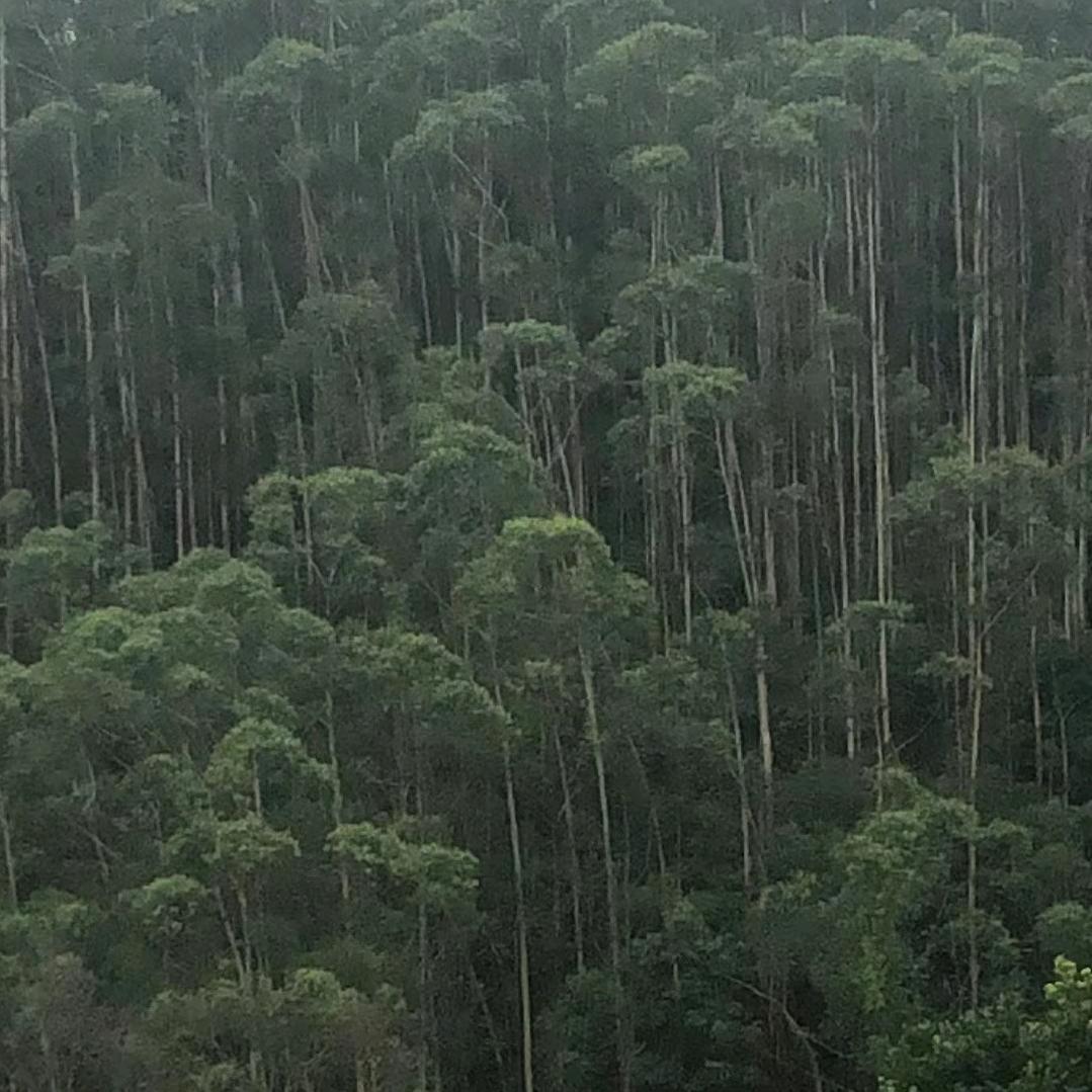 爱的余生！！！！！