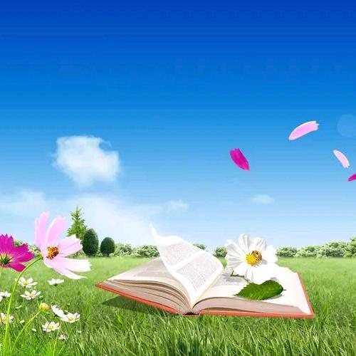 💞꧔ꦿ᭄中山小榄💕 ❧