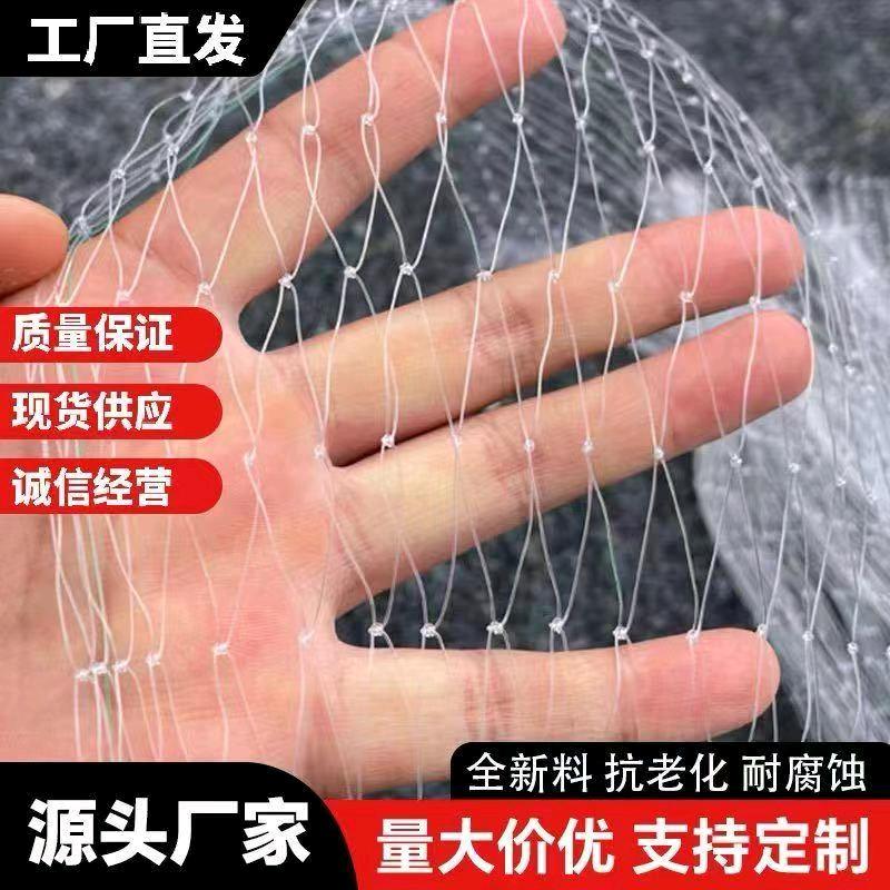 棣诚果园防鸟网