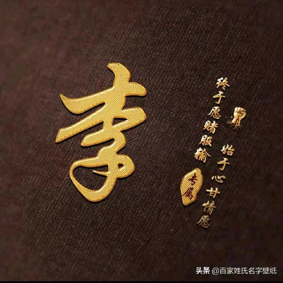 雨中的的荷叶