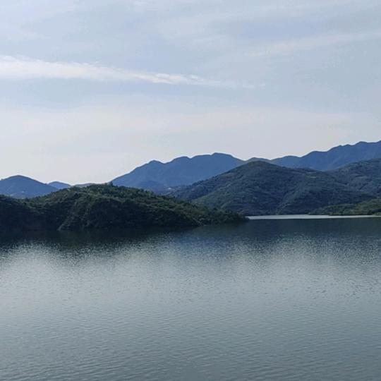 鼎尚盆景花卉