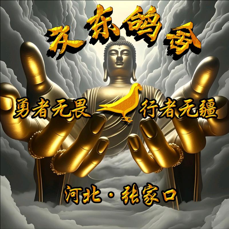 文东灬鸽舍