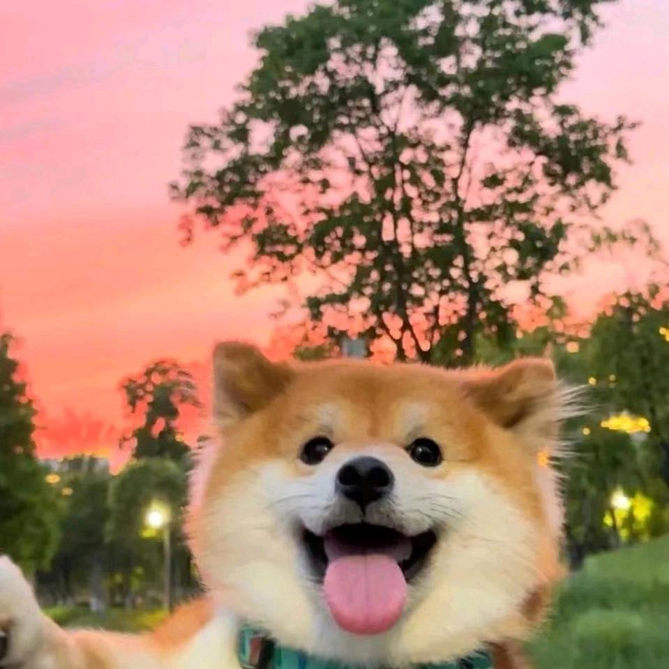 新天嘉臻选