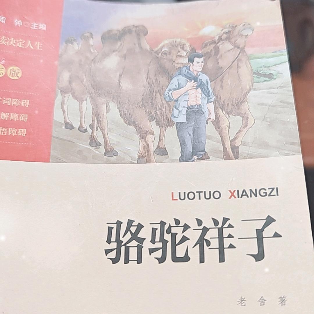 热门视频