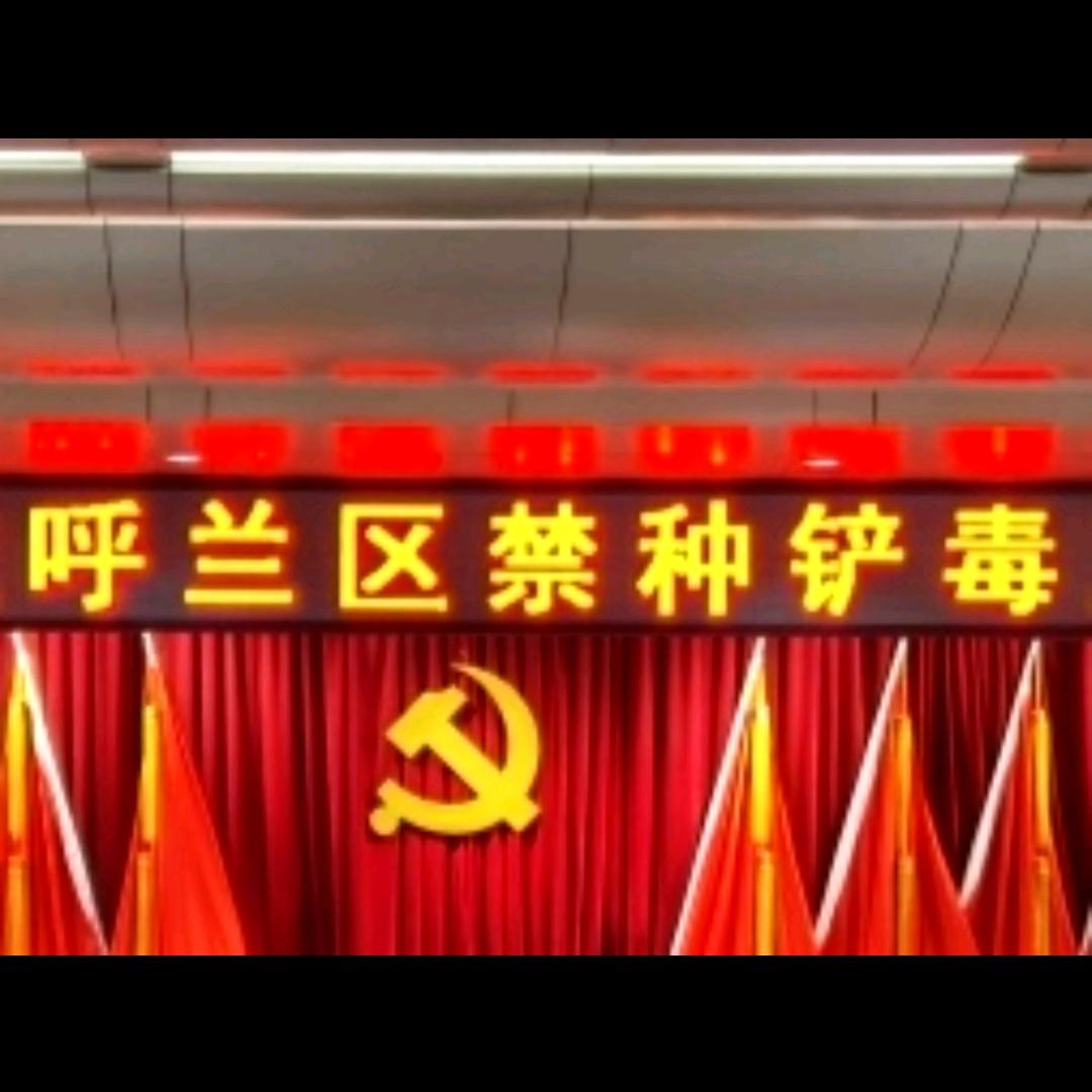 尘客(仁慈的狮子)