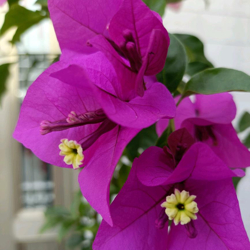 。。😊。。☺️。。