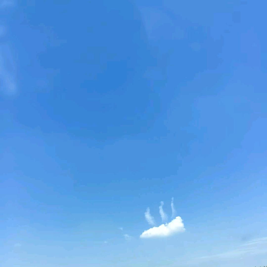 优优