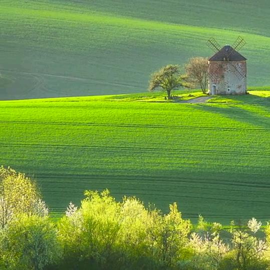 𝒀𝑳𝑮中国心🍊