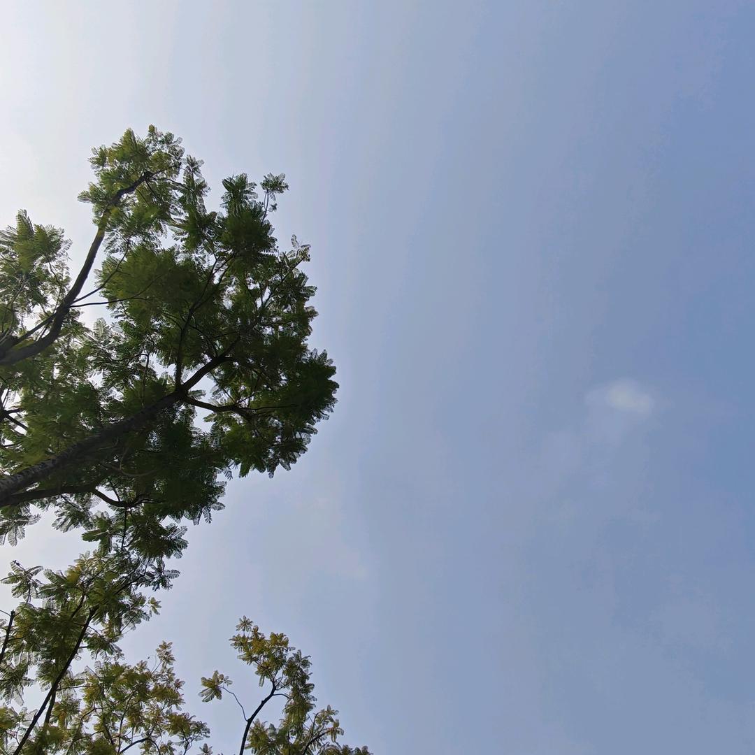 我的天空