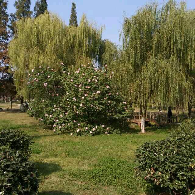 一望无际