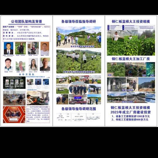 板蓝根大王公司