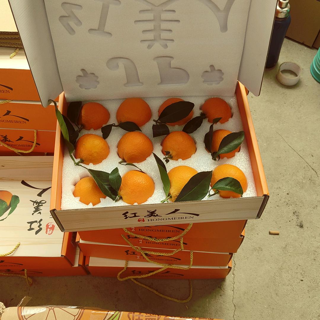 宁波果蔬优品