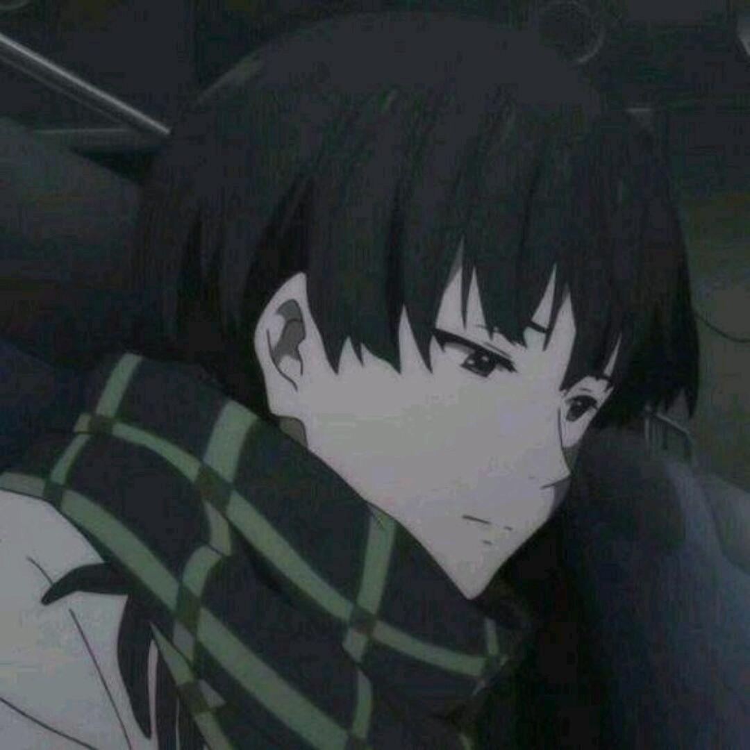 雪楓