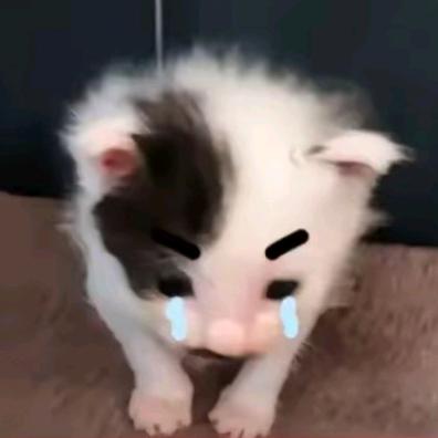 福生无量土木天尊