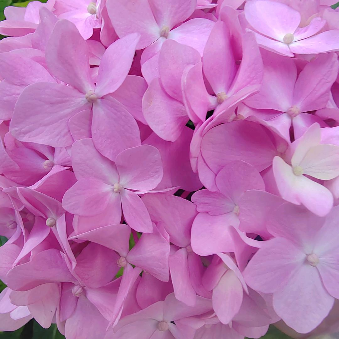 要好好珍惜自己