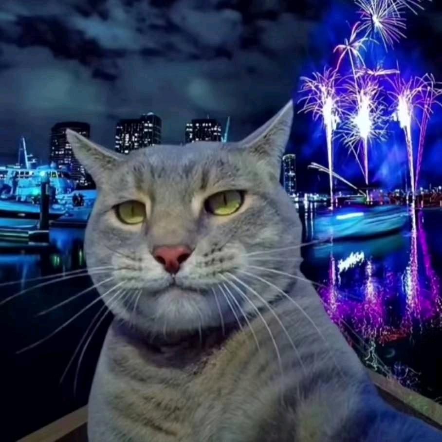 沈念.
