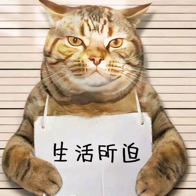 🌈⁰⁶洋相²⁰🌈