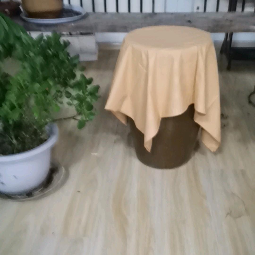 徐庆成