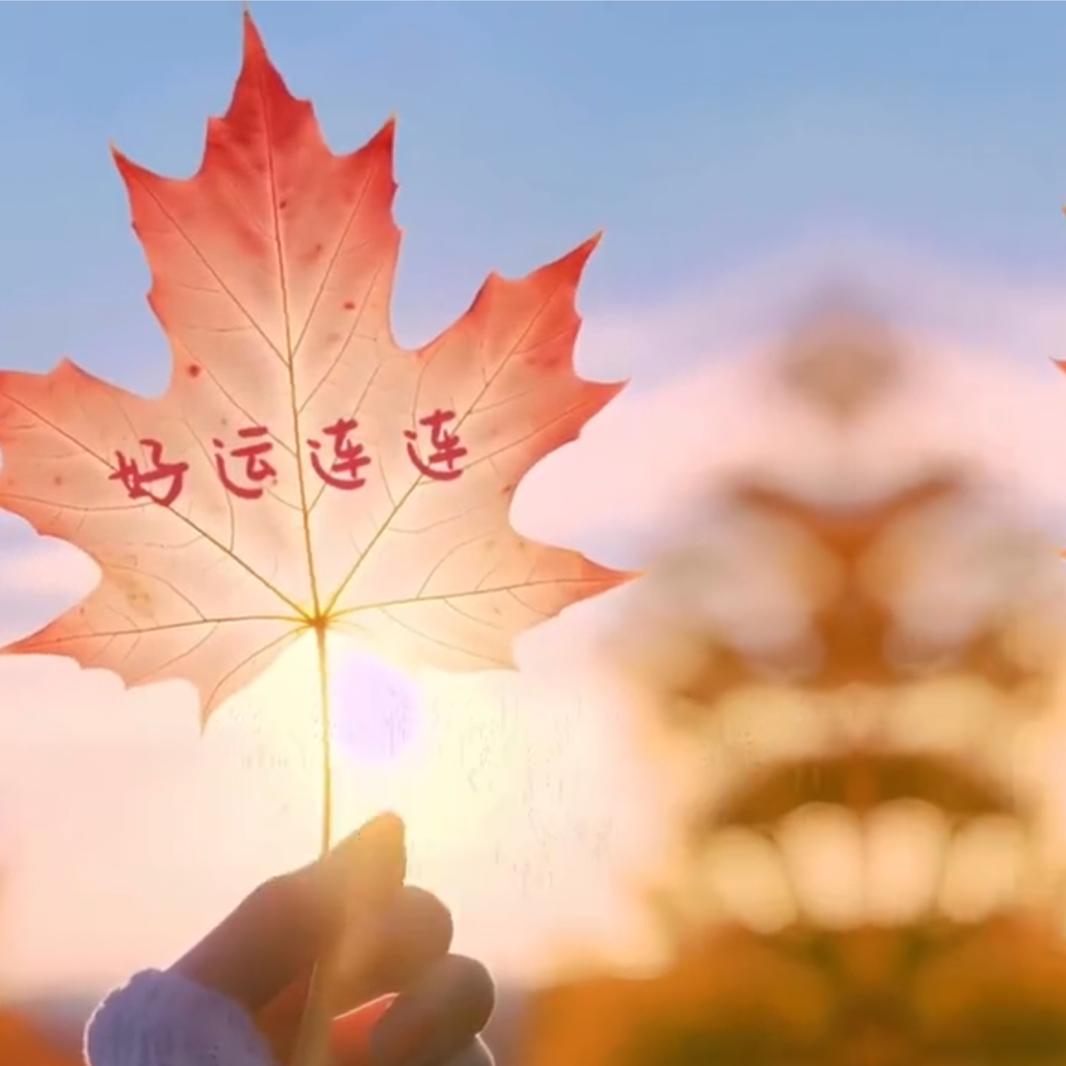 “徐州本地折扣”