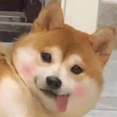 啦啦辛