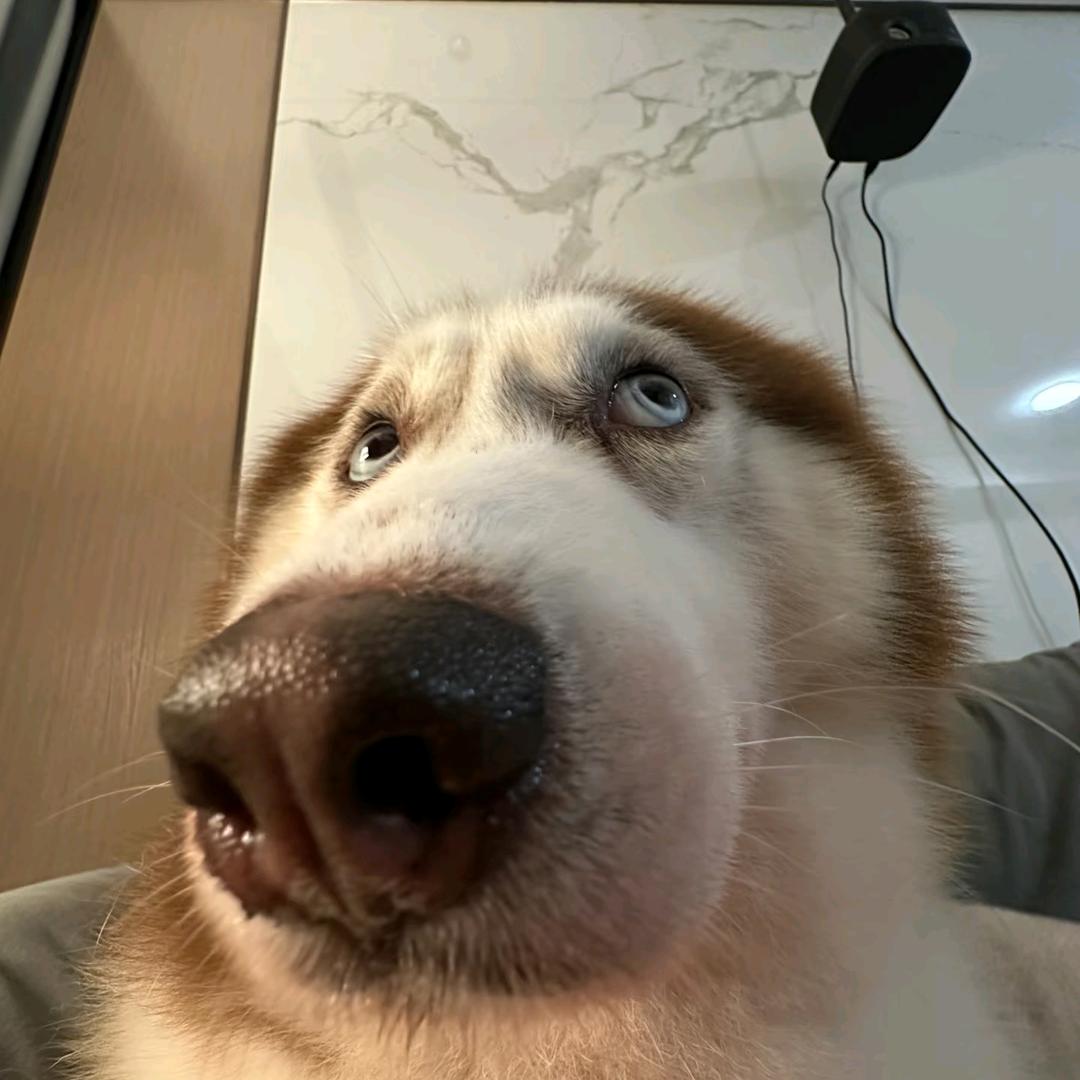 BO_