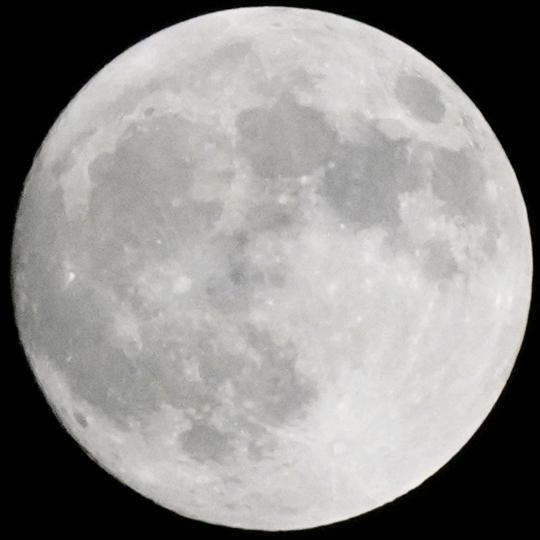 挣碗稀饭钱[doge]