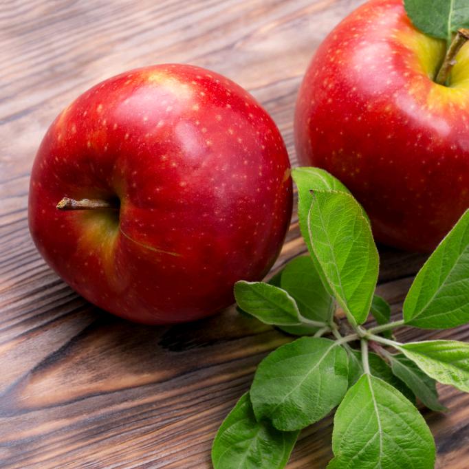 威宁县黑石康达种植专业合作社（张龙）