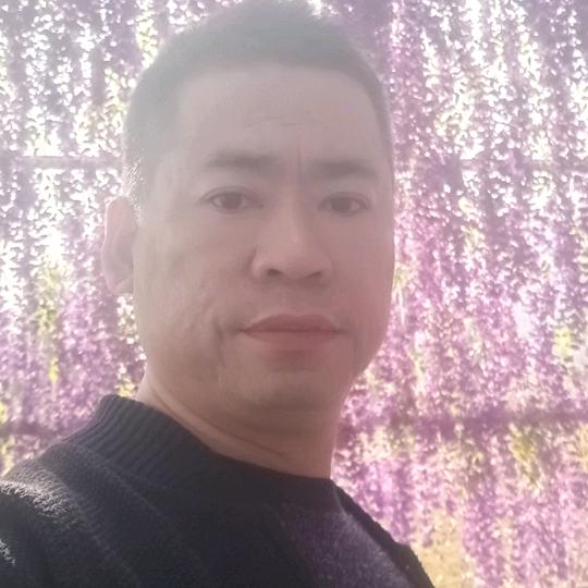 忘了他，哥搬砖养你