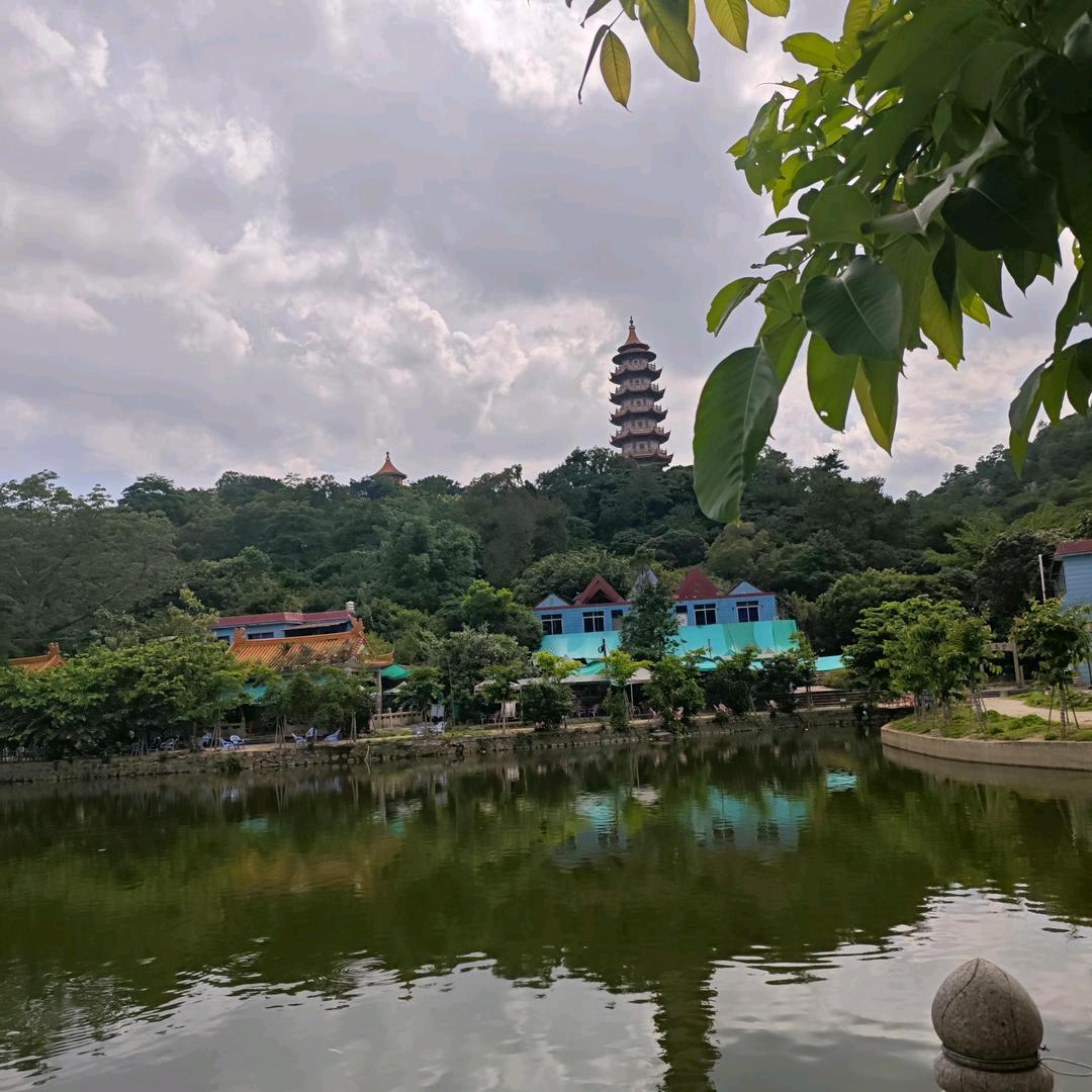 梅姐77🐍拒绝私聊拒连赞)