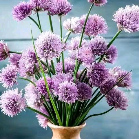 清风细雨（云）