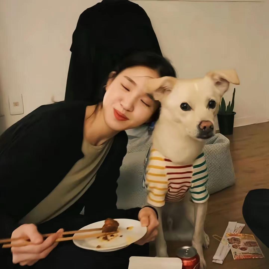 快乐小狗