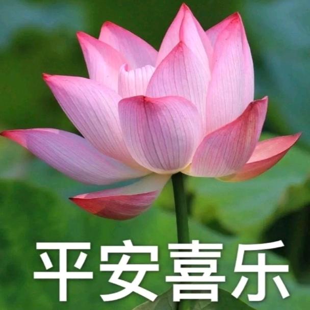 重新再来